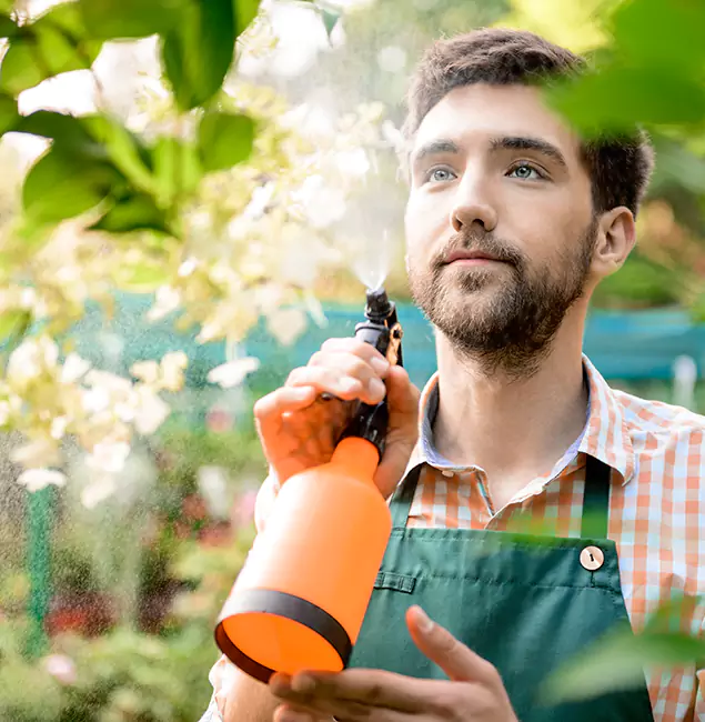 Why Belleville Pest Control Pro Is the Best Mosquito Control Company in Belleville, NJ?