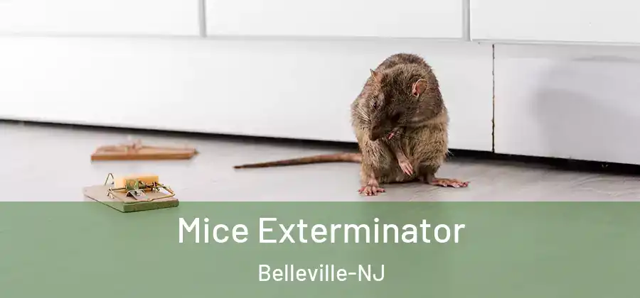  Mice Exterminator Belleville-NJ