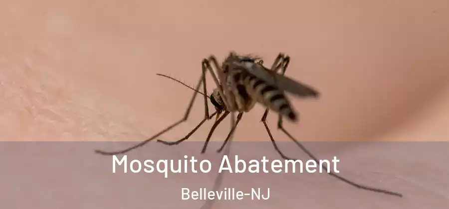  Mosquito Abatement Belleville-NJ