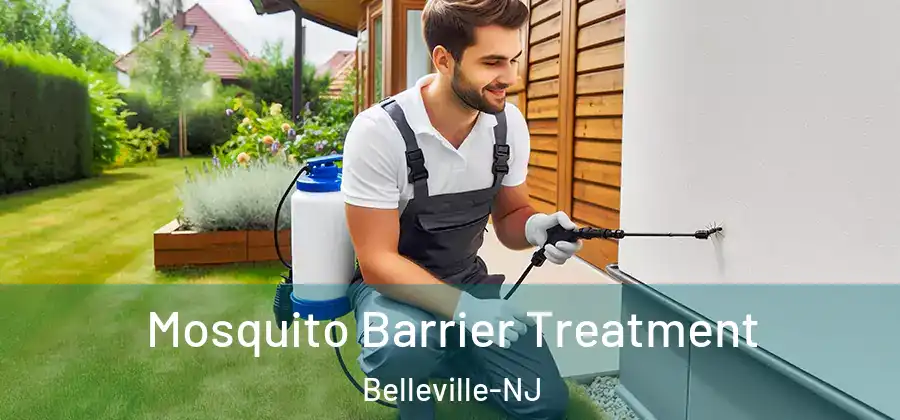  Mosquito Barrier Treatment Belleville-NJ