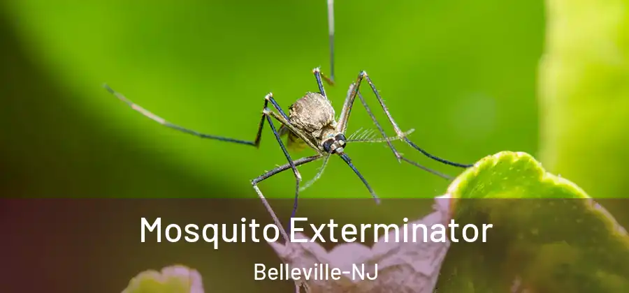  Mosquito Exterminator Belleville-NJ
