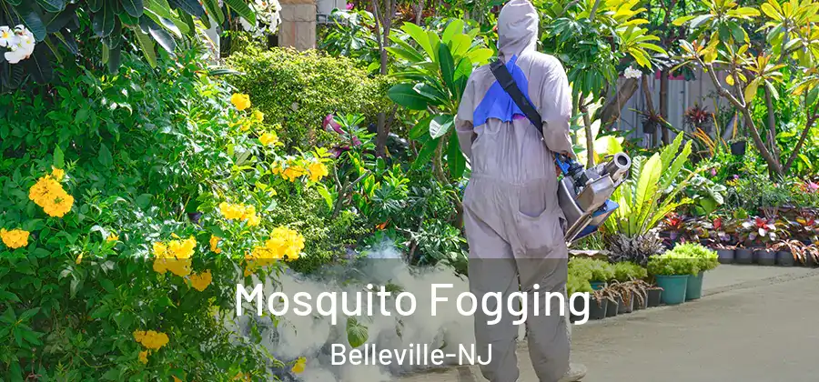  Mosquito Fogging Belleville-NJ