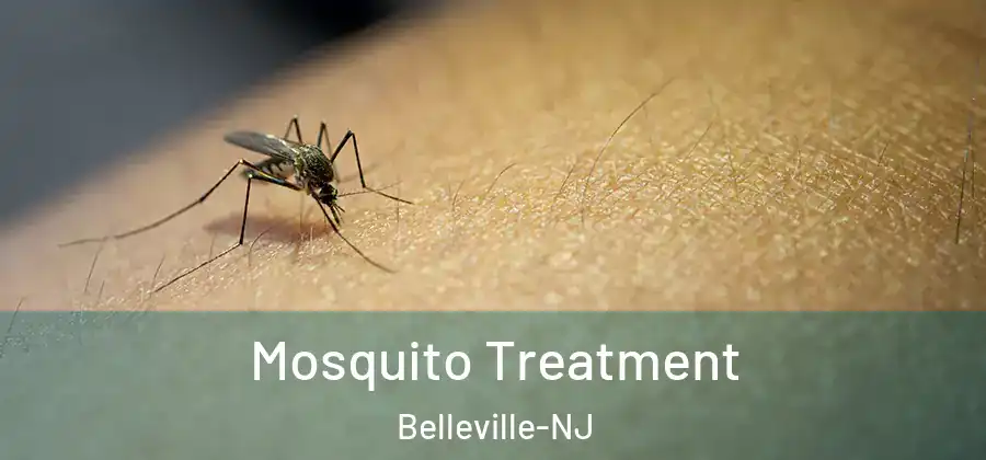  Mosquito Treatment Belleville-NJ