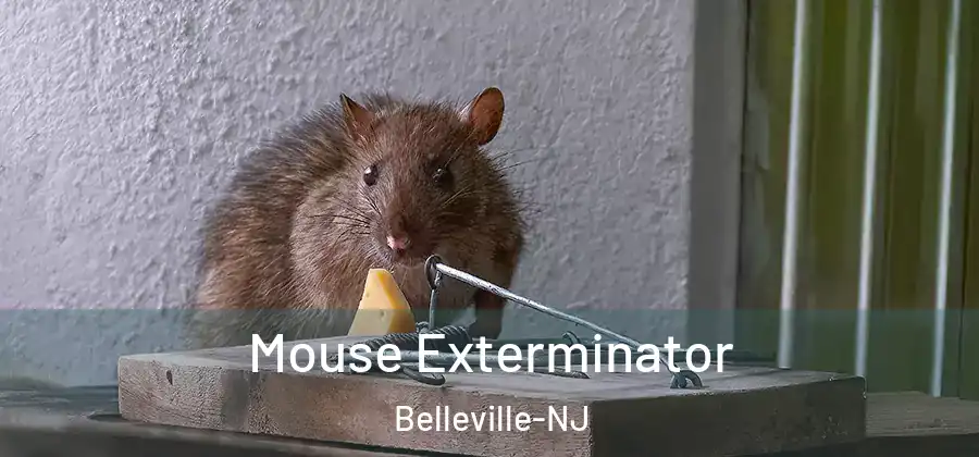  Mouse Exterminator Belleville-NJ