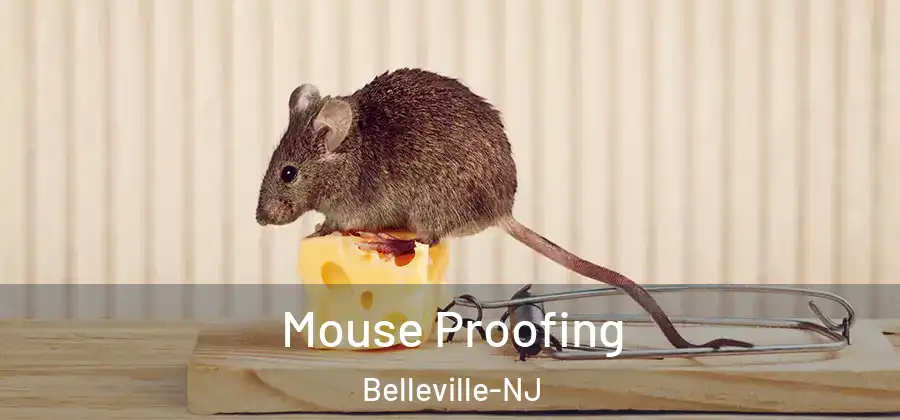  Mouse Proofing Belleville-NJ