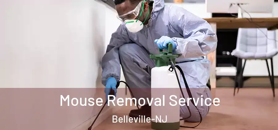  Mouse Removal Service Belleville-NJ