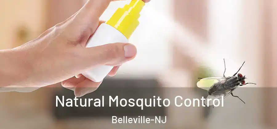  Natural Mosquito Control Belleville-NJ