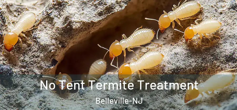 No Tent Termite Treatment Belleville-NJ