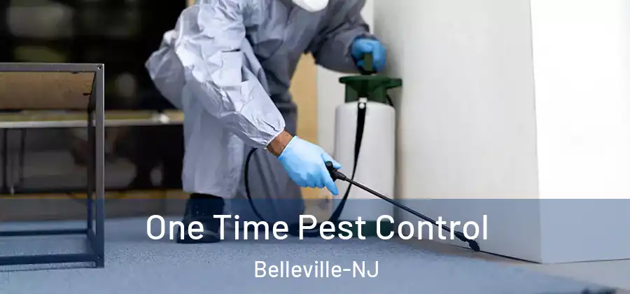  One Time Pest Control Belleville-NJ