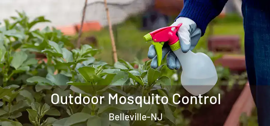  Outdoor Mosquito Control Belleville-NJ