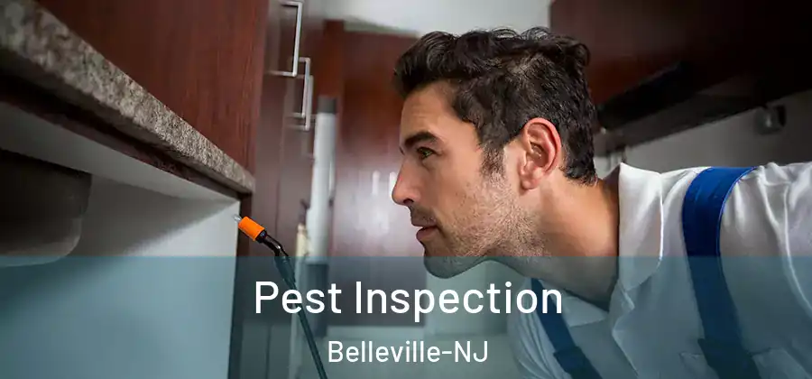  Pest Inspection Belleville-NJ