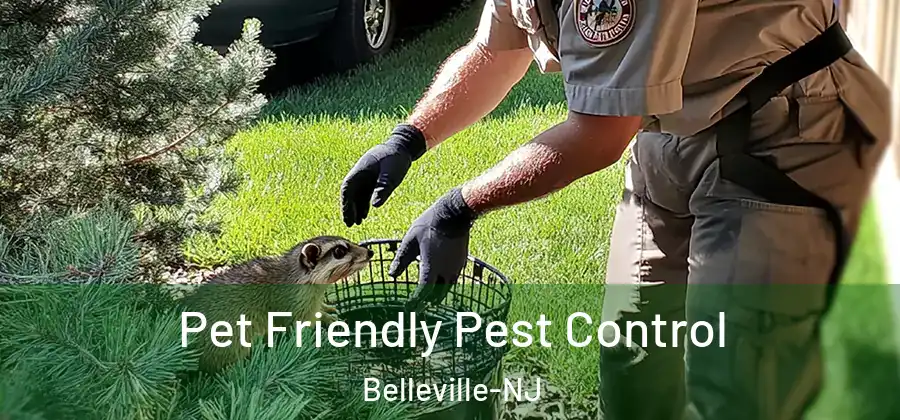  Pet Friendly Pest Control Belleville-NJ