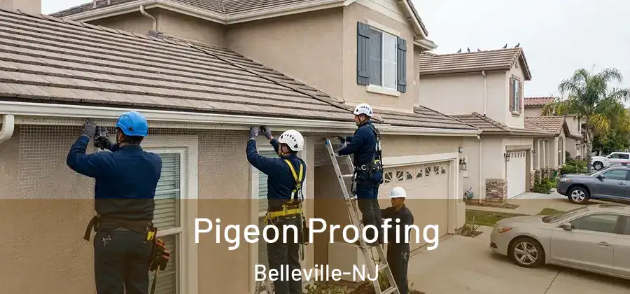  Pigeon Proofing Belleville-NJ