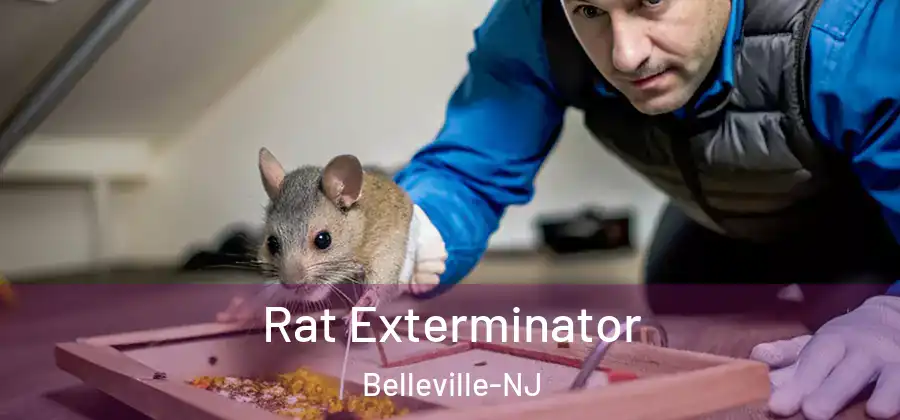 Rat Exterminator Belleville-NJ