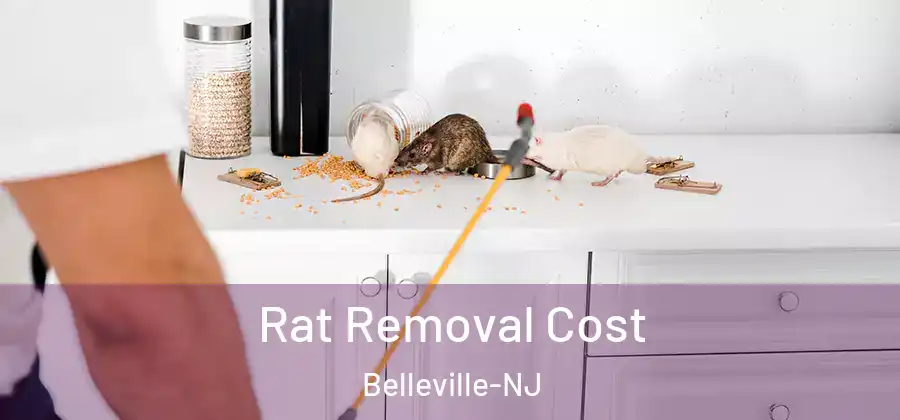  Rat Removal Cost Belleville-NJ