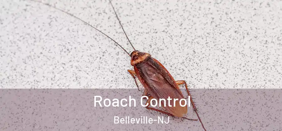  Roach Control Belleville-NJ