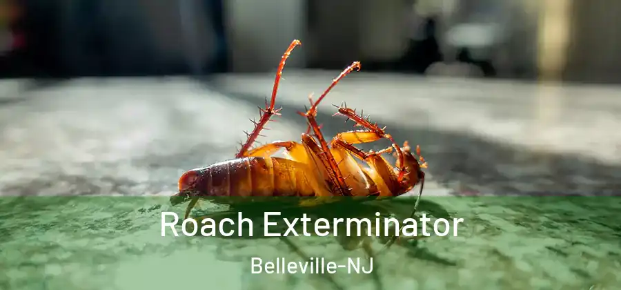 Roach Exterminator Belleville-NJ