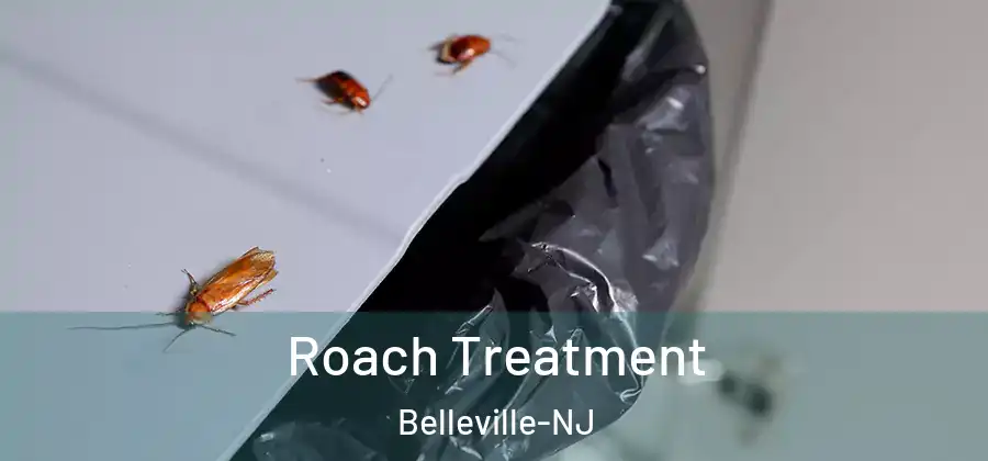  Roach Treatment Belleville-NJ
