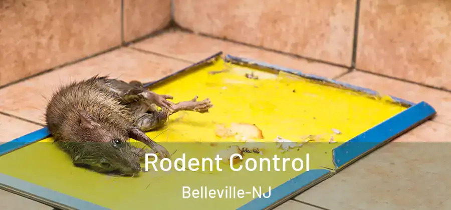  Rodent Control Belleville-NJ