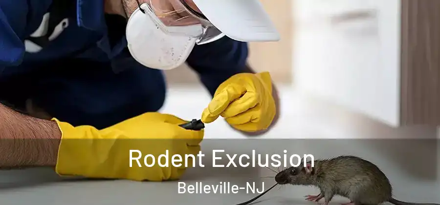  Rodent Exclusion Belleville-NJ