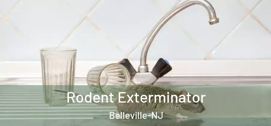 Rodent Exterminator Belleville-NJ