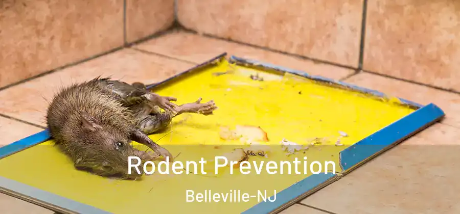  Rodent Prevention Belleville-NJ
