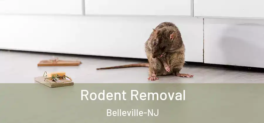  Rodent Removal Belleville-NJ