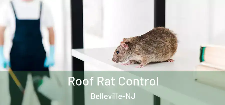 Roof Rat Control Belleville-NJ