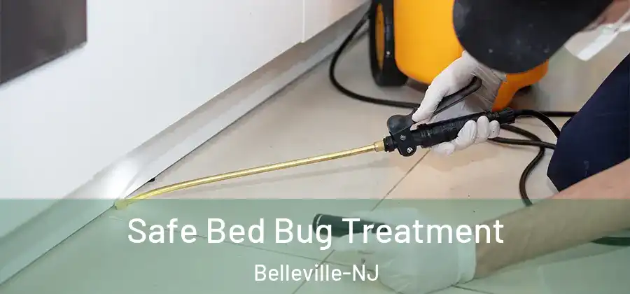  Safe Bed Bug Treatment Belleville-NJ