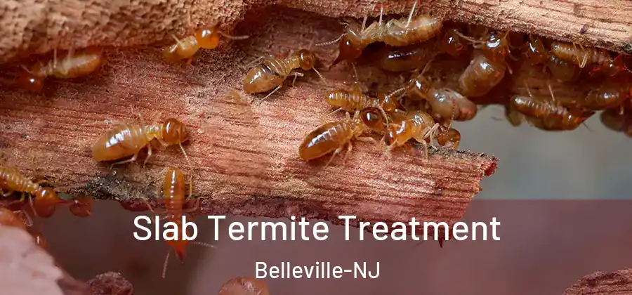  Slab Termite Treatment Belleville-NJ