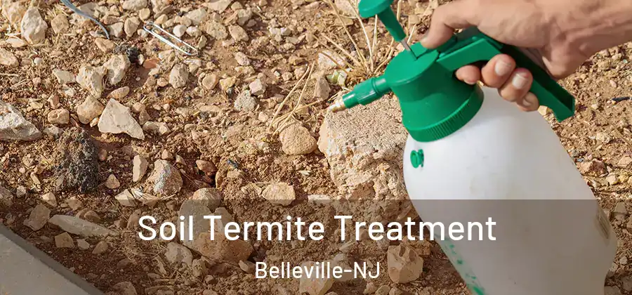  Soil Termite Treatment Belleville-NJ