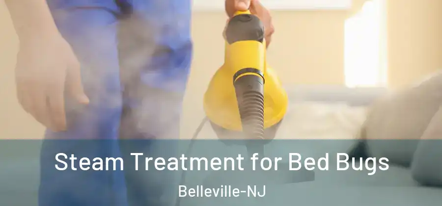 Steam Treatment for Bed Bugs Belleville-NJ
