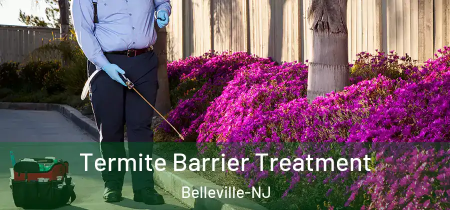  Termite Barrier Treatment Belleville-NJ