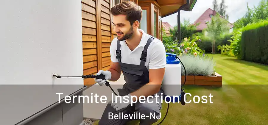  Termite Inspection Cost Belleville-NJ