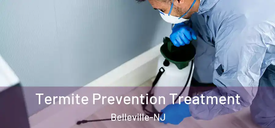  Termite Prevention Treatment Belleville-NJ