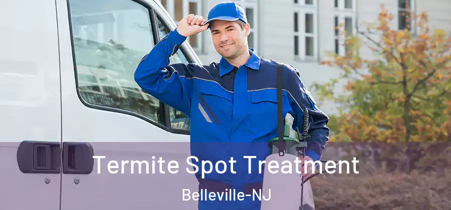  Termite Spot Treatment Belleville-NJ