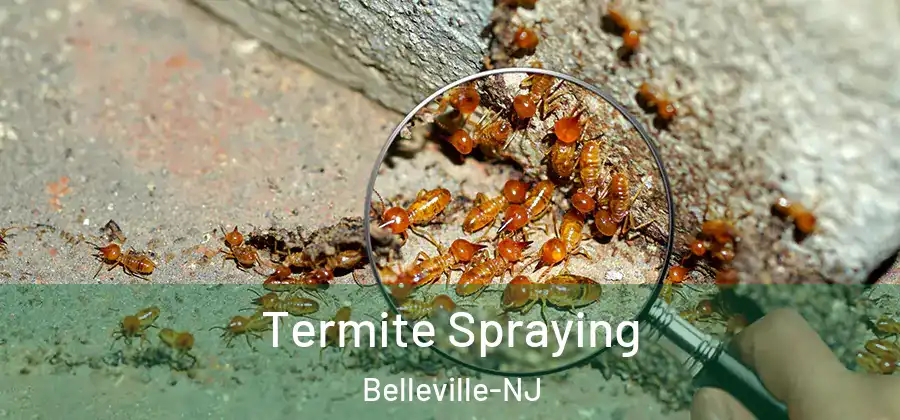  Termite Spraying Belleville-NJ