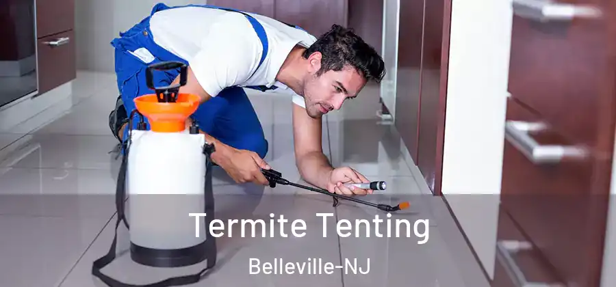  Termite Tenting Belleville-NJ