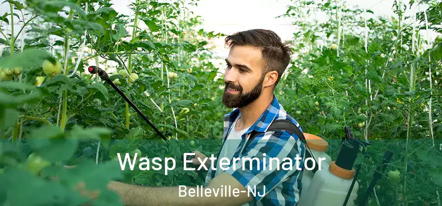  Wasp Exterminator Belleville-NJ