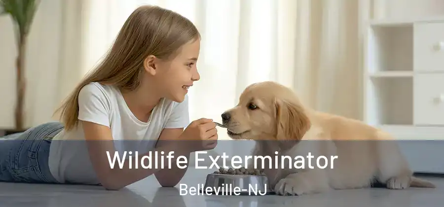  Wildlife Exterminator Belleville-NJ