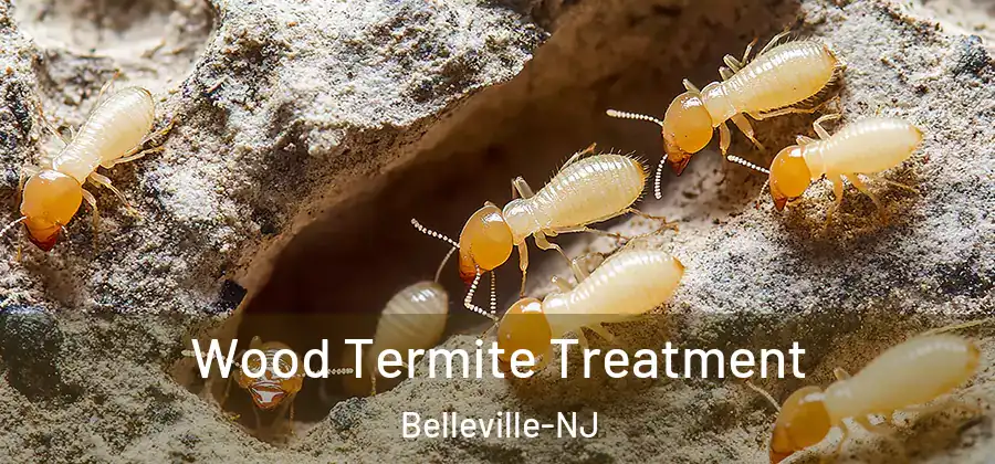 Wood Termite Treatment Belleville-NJ
